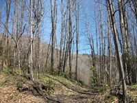 nte Cicirello-10042012 015